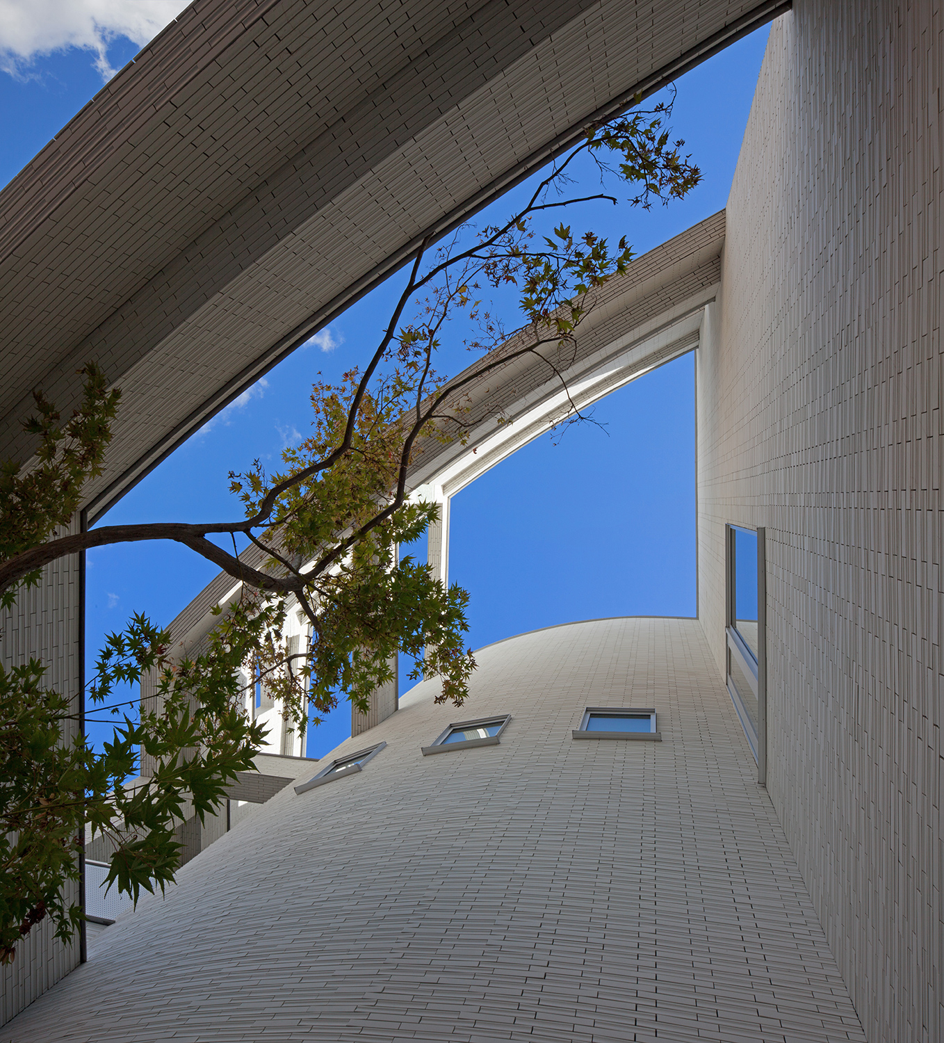 とよざわ歯科クリニック