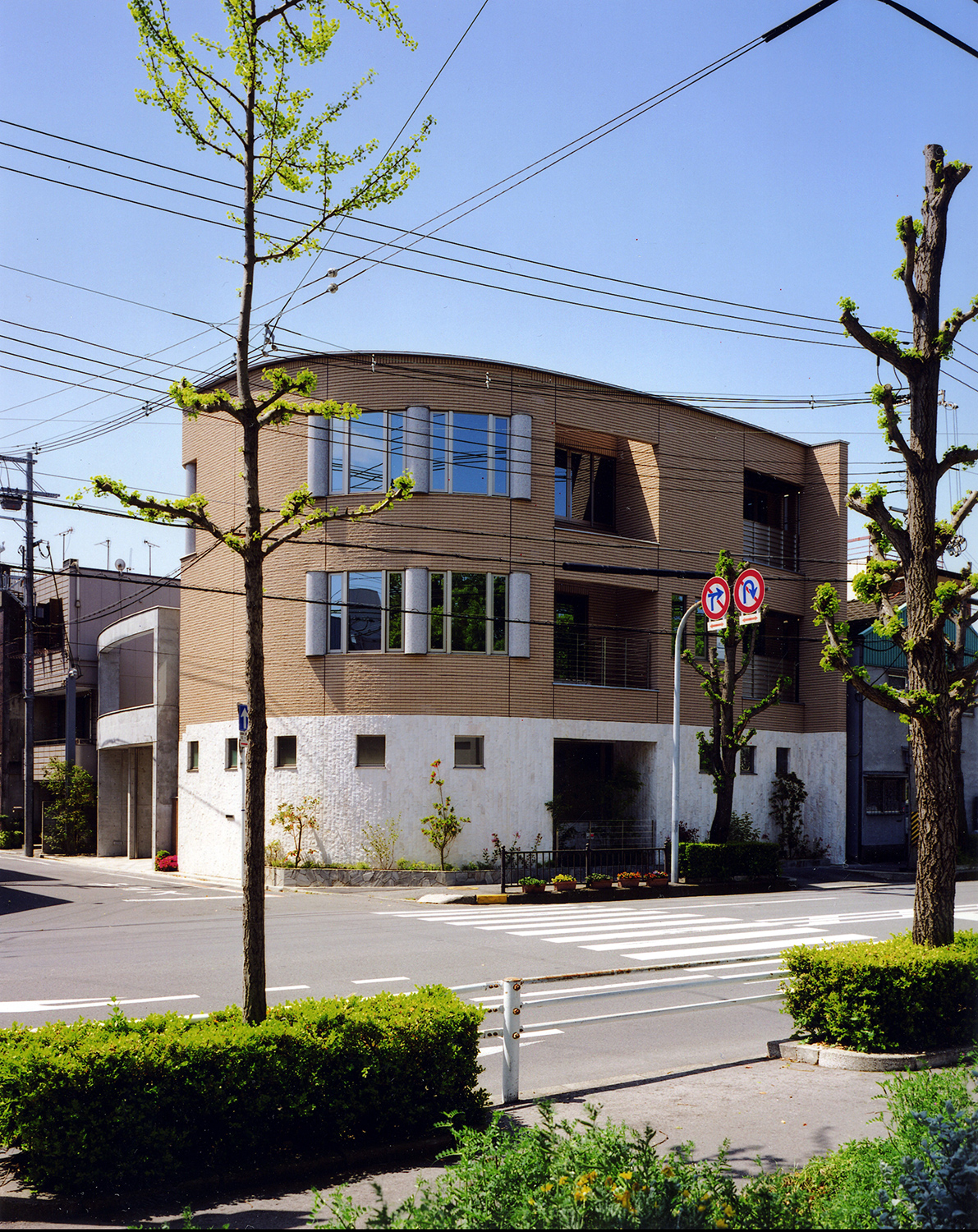 T邸